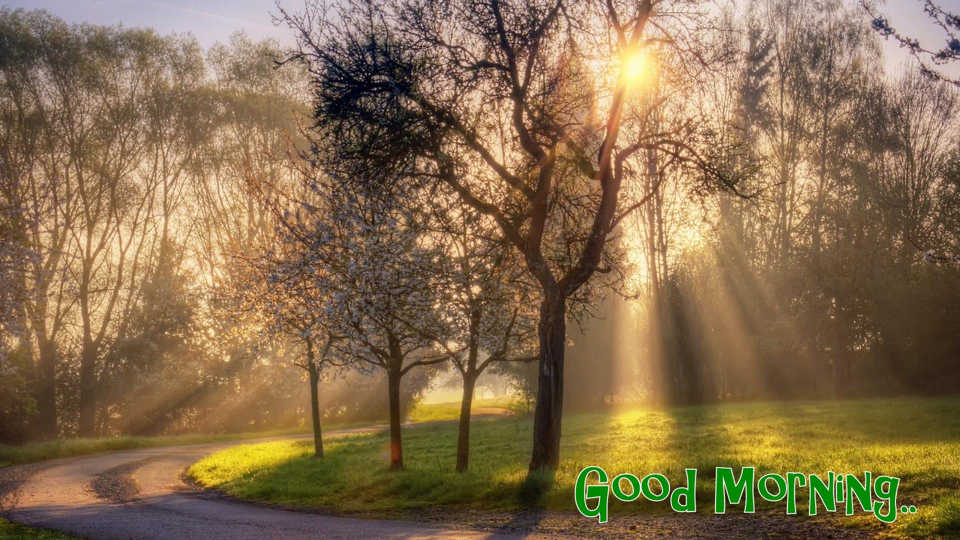 Good Morning Wallpapers Free Download