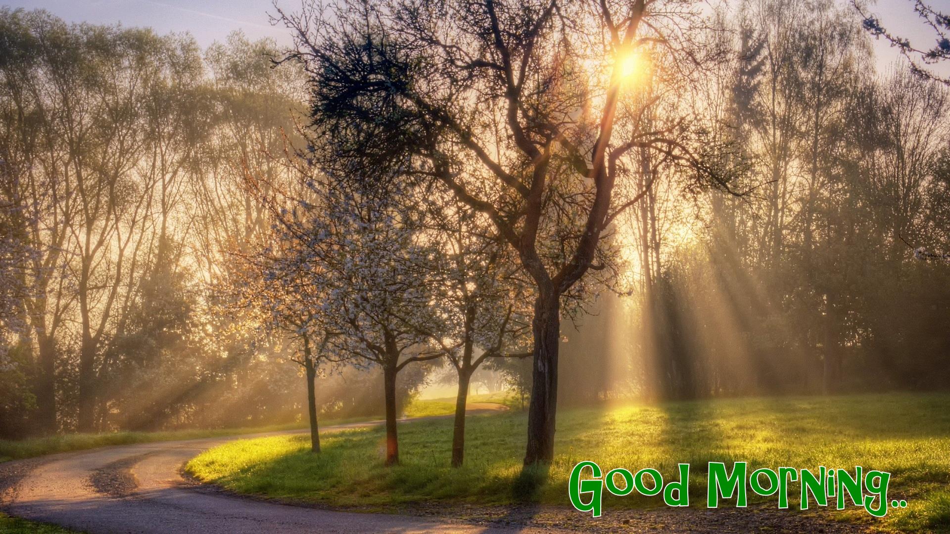Beautiful Nature Good Morning Wallpapers Beautiful Nature Good Morning Wallpapers