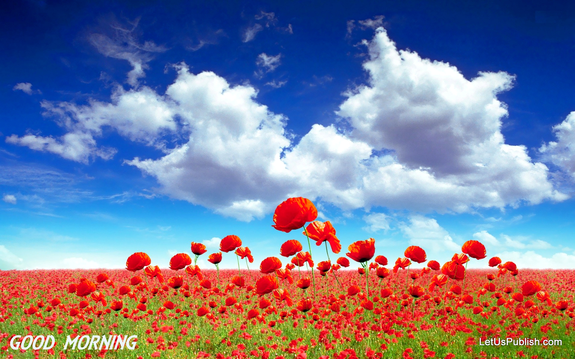 Good Morning Wallpapers Free Download Good Morning Wallpapers Free Download
