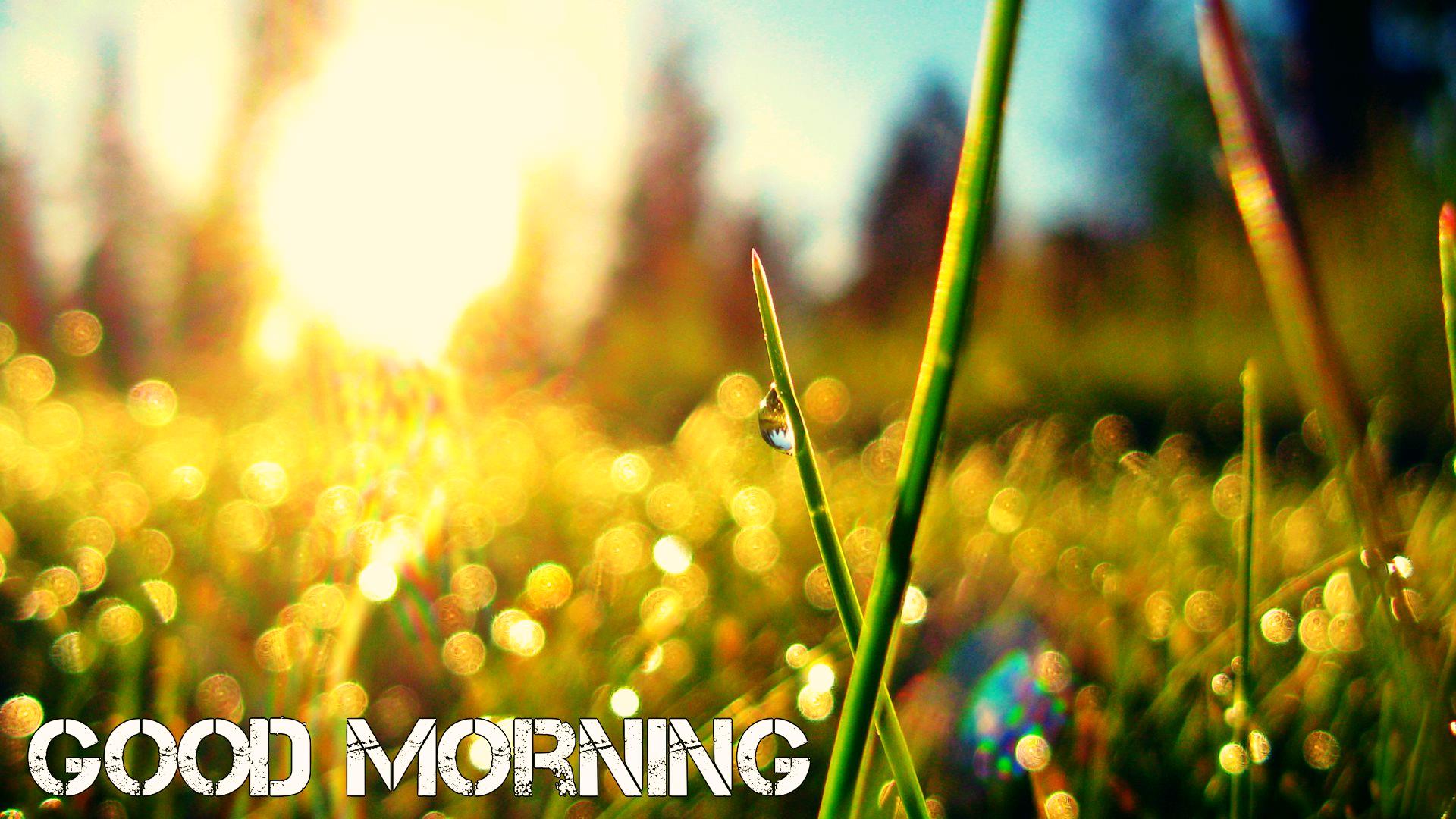 HD Good Morning Wallpapers Free Download  Let Us Publish