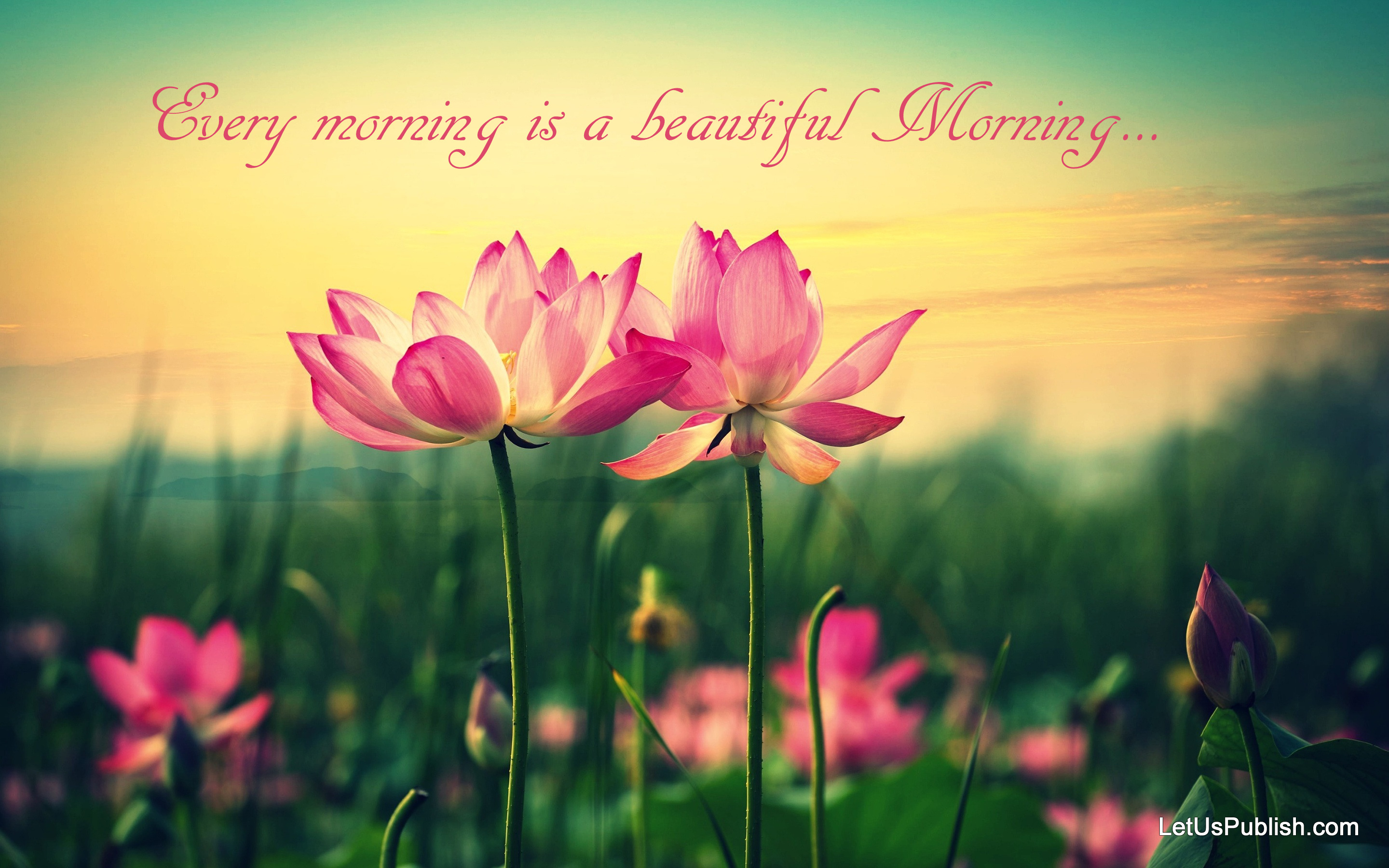 beautiful-good-morning-wallpaper