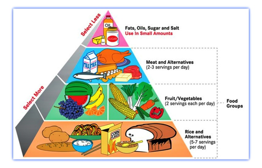 Food diet chart