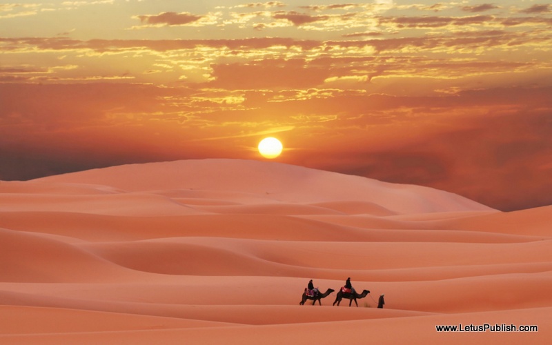 Desert evening hd wallpaper