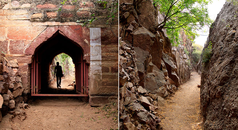 Rao Jodha Desert Rock Park Rock Park 2 - Jodhpur Travel Pictures