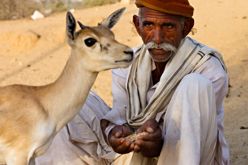 Bishnoi WildLife unexplored wildlife destinations of India