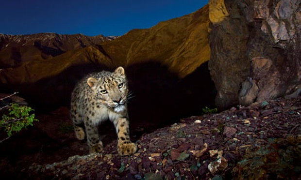 Hemis National Park