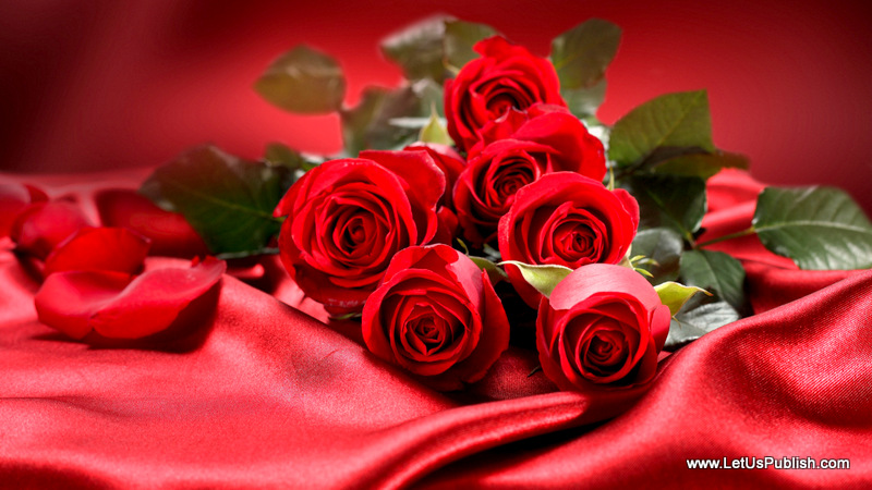 Red Roses For Love Wallpaper
