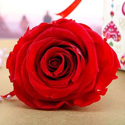 Forever Red Rose Valentine Gift Red Rose Gift