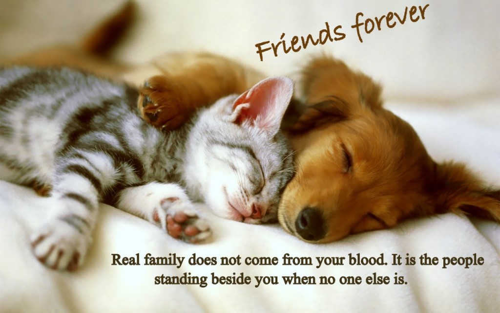 Cute friends image for facebook