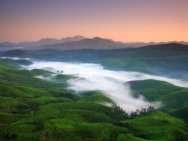 Perfect destination to beat your heat is the Munnar hill station