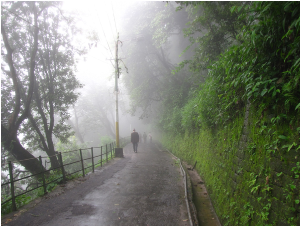 Day Treks in Darjeeling by Man Bartlett