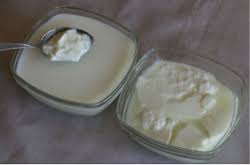 curd-and-yogurt