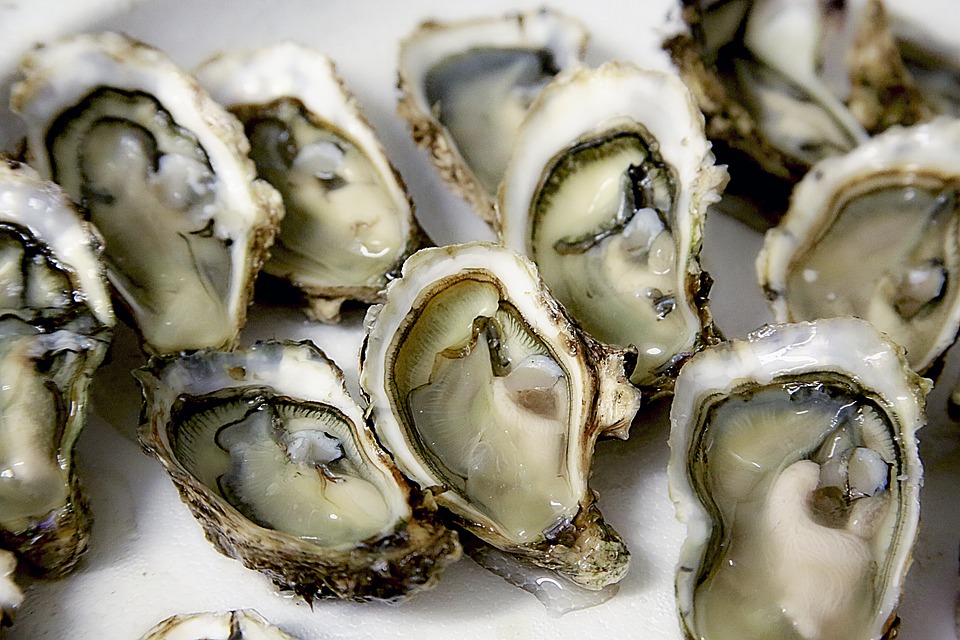 oyster-best-anti-aging-food