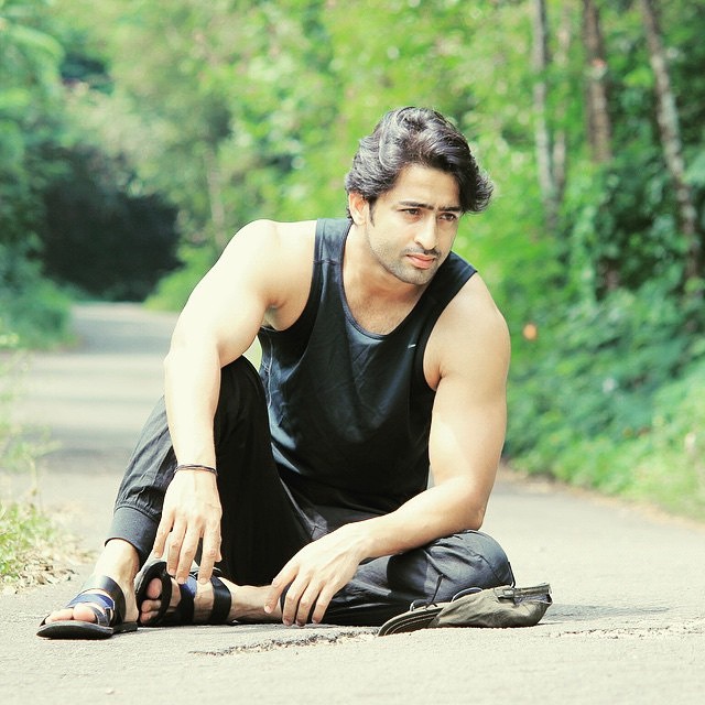 Facts About Shaheer Sheikh & Erica Fernandez of Kuch Rang Pyar Ke Aise